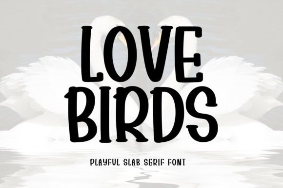 Love Birds: A Modern Slab Serif Font with Heart