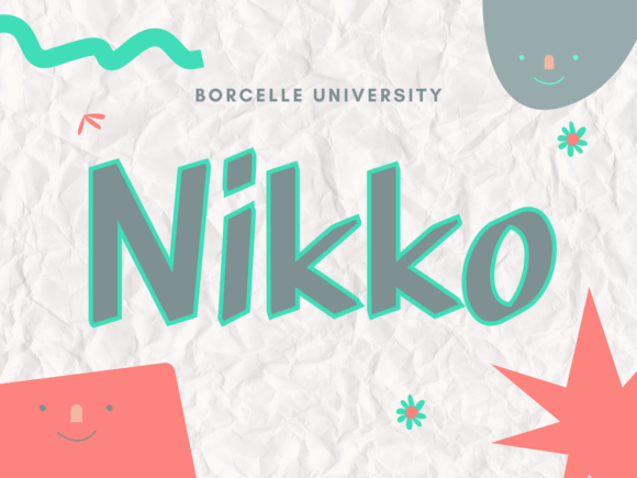 Nikko: A Bold, Unique Slab Serif Font